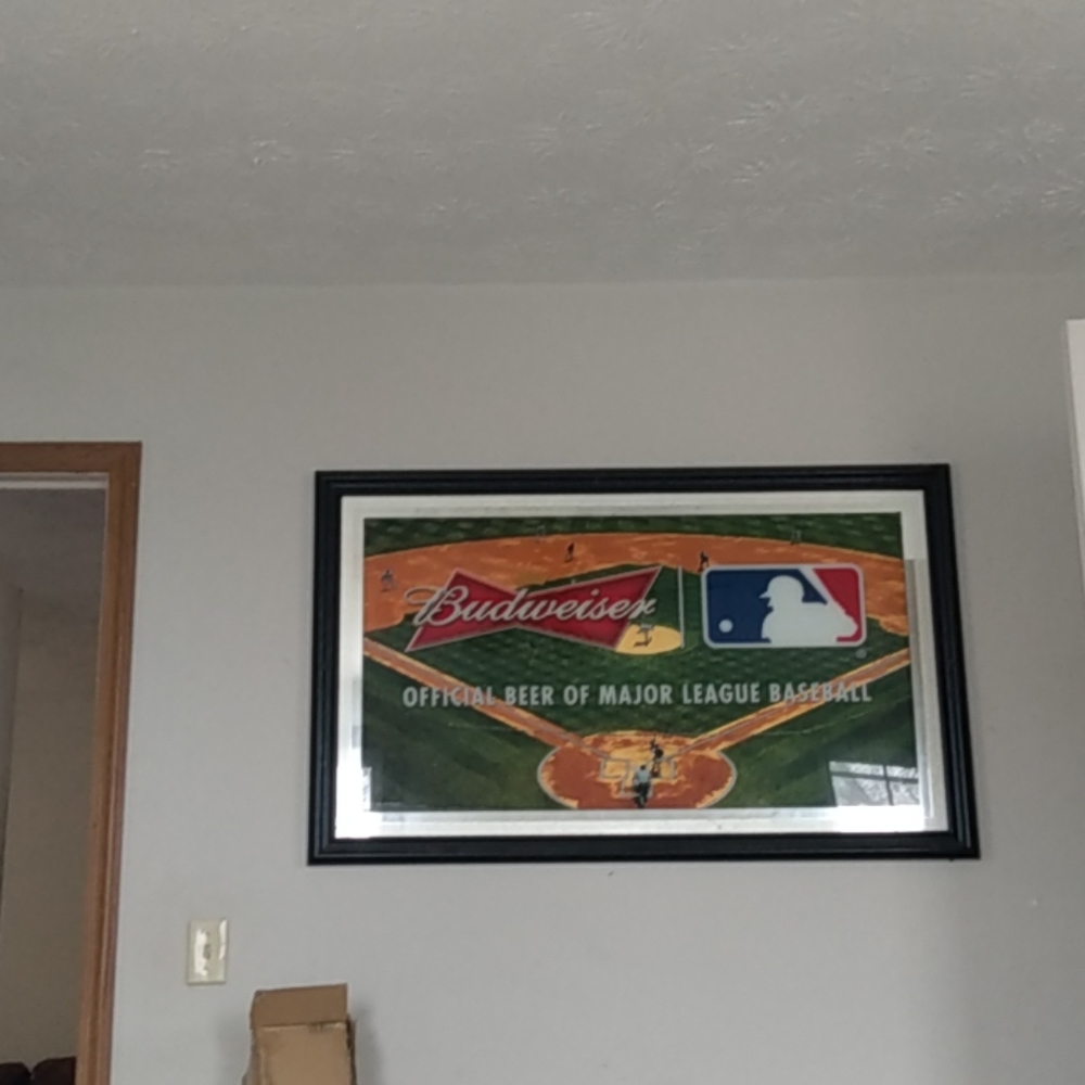 bud MLB mirror